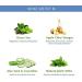 The Moms Co Natural Green Tea Face Toner l Controls Sebum l Fights Acne l Tightens Pores l Hydrates & Soothes l Aloe Vera & Cucumber (200ML) - Buy Online on SooperMarket.com