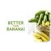 Banana Vital Simply Bananas and Guava Fruit Bar Bundle - 6 Count (30g) Bars | Gluten Free, Vegan, Non-GMO - Shelf Stable & All-Natural - Buy Online on SooperMarket.com
