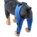 Pet Dog Knee Brace ACL Brace for Dogs Rear Leg Dog Braces for Back Leg for Support for Heals Prevents Injuries Sprains Blue Medium Medium Blue - Buy Online on SooperMarket.com