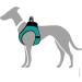 HUNTER HILO COMFORT Harness for Small Dogs - Mesh & Reflective Elements Turquoise ML - International Shipping Available - Buy Online on SooperMarket.com