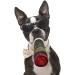 Yunmoxiao Funny Dog Toys Plush Squeaky Dog Toys for Medium Small and Large - Cute Dog Gifts for Dog Birthday - Cool & Cute Plush Squeaky Dog Toys Birthday Gift - Buy Online on SooperMarket.com