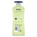 Buy Vaseline Intensive Care Aloe Soothe Lotion 20.3 oz | Hydrating Lotion for Dry Skin - International Shipping Available - Buy Online on SooperMarket.com