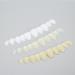 3-Part Temporary Dentures Set | Quick Fix for Missing Teeth | Ideal for Men & Women | Durable & Comfortable Replacement Solutions - Buy Online on SooperMarket.com