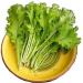 Fresh Saag Leaves Bunch | Single Bunch | Mustard Leaves | Sarso Ka Saag Leaf | Green leafy | Spinach | Broad leaves | Approx 200G - Buy Online on SooperMarket.com