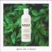 Noah Hair 1.5 Purifying Shampoo - Organic Green Tea & Basil Shampoo | Natural Dandruff Solution | 8.5 fl. oz - Buy Online on SooperMarket.com