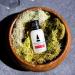 RawChemistry Pheromones for Men - Bold Extra Strength Cologne Oil to Attract Women - Buy Online on SooperMarket.com
