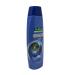 Buy Palmolive Anti-Dandruff Shampoo - Pack of 2 | Best International Shipping - Buy Online on SooperMarket.com
