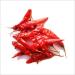 Dried Andhra Chillies/Sigappu Milagai/Organic Dry Red Chillies 1000g (Pack of 02)