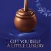 Lindt LINDOR Dark Chocolate Truffles - 50.8 oz, 120 Count | Gourmet Truffles with Melting Center - Perfect Gift! - Buy Online on SooperMarket.com