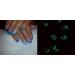 AQUA BLUE/GREEN Glow in the Dark Pigment Powder 10g - Luminous Pigment for Crafts & DIY Projects - Buy Online on SooperMarket.com