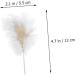 NAMOARLY 2 Pcs Insert Pearl Trim Pearl Decor Beige Decor Ostrich Trim Baking Diy Decor Dessert Inserting Decor Inserting Baking Topper Baking Toppers Insert Card Cake White White 12X5.5CM - Buy Online on SooperMarket.com
