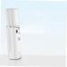 Gogogmee Air Humidifier Facial Mister Spray Humidifier Electric Face Mister Mist Facial Sprayer White - Buy Online on SooperMarket.com