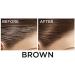L'Oreal Magic Retouch Brown Precision Instant Grey Concealer Brush (Pack of 2) Brown 8 ml (Pack of 2) - Buy Online on SooperMarket.com