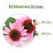 Pure Echinacea Oil 30ml | Natural Hair Care & Skin Care | Hydrate & Nourish - Buy Online on SooperMarket.com
