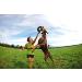 Chuckit! Zipflight Frisbee Dog Toy - Durable Fetch Toy for Dogs | Medium Size - Buy Online on SooperMarket.com