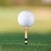 Zivisk Wooden Golf Tees 3-142-342-181-12 Available100 Count Bamboo Tee Golf (Natural Color White Black Green Blue Red Pink) 3 14 inch Natural Color - Buy Online on SooperMarket.com