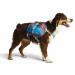 Cesar Millan Dog Backpack Large Blue