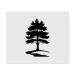 2 x Microfiber Cleaning Cloths "Pine Tree" (LC00025131)