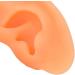 Kadimendium Human Ear Acupuncture Model - 2 Pieces for Training - Buy Online on SooperMarket.com