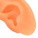 Ear Model ANGGREK 2 Pieces Ear Modeling Tools Hearing Amplifier Dispalying Assistance Display Ear Model Ear Wraps for Teaching Replacement - Buy Online on SooperMarket.com