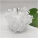 Home Decor 1pcs Natural Raw Quartz White Clear Crystal Cluster Stones Crystal Point Specimen Home Decoration Raw Crystals Mi Soothing Crystal Household Crystal Cluster (Size : 600-700g) - Buy Online on SooperMarket.com