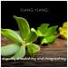 Natural Ylang Ylang Bath Soap 3.35 oz | Luxurious Aromatic Skincare for All Skin Types | International Shipping Available - Buy Online on SooperMarket.com
