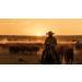 JTM Vintage Cattle Driver Beard Oil | Premium Grooming & International Shipping - Buy Online on SooperMarket.com