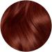 Organic Hair Dye - Herbal Henna Red Color | It's Pure Organics - Natural Hair Care Solution - Buy Online on SooperMarket.com