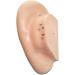 Acupuncture Ear Point Template - 40cm Acupuncture Ear Model - Large Reflection Zone Ear Point Template - for Medical Acupuncture - Buy Online on SooperMarket.com