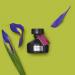 The Body Shop Iris & Violet Fragrance Oil 20ml