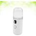 Baluue 2 Pcs Air Humidifier Handy Mini Sprayer Humidifier Face Mist Skin Care Tools for Face Portable White - Buy Online on SooperMarket.com