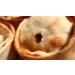 Scotch Pie Complete Spice Mix - 500g (Makes a 5kg Batch) - Buy Online on SooperMarket.com