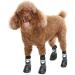 KOOLTAIL Dog Socks XL - Anti-Slip with Straps, Waterproof Paw Protector for Traction Control - Black (2.6 Width x 6.3 Length) - Buy Online on SooperMarket.com