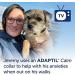 ADAPTIL Calm On-the-Go Collar Helps Dogs Cope with Stress and Anxiety Related Behavioural Issues and Life Challenges Especially When Out and About - Medium/Large Dogs Black 1 Count (Pack of 1) Only Collar - Buy Online on SooperMarket.com