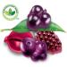 Realfruit Dare Gummies Superfruits 180 gram (Pack of 9) - Buy Online on SooperMarket.com