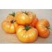 Astonish Pacchetto semi: 1000 Semi di colazione Kellogg - Pomodori Arancione - Buy Online on SooperMarket.com