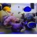 Orgmemory Ceramic Fish Tank Cave Decorations - 2 Pieces | Aquarium Accessories for Aquatic Animals - Buy Online on SooperMarket.com