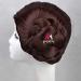 Leia Organa Solo Princess Brown Short Synthetic Hair Cosplay Wig with Buns | Heat Resistant Fiber & Wig Cap - Buy Online on SooperMarket.com