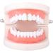 Hip Hop Teeth Gap Crystal Grills Punk Teeth Caps Cosplay Party Tooth Rapper Funny Jewelry Gift Gold - Buy Online on SooperMarket.com