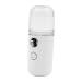 BELLIFFY 1pc Mini Humidifier Nano Mist Sprayer Skin Care Tools Nano Facial Mister Portable Humidifer White