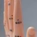 Acupuncture Hand Model Reflexology Acupoint Medical Study Kit - Buy Online on SooperMarket.com