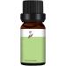 Tea Tree Massage Oil - Moisturizing Aroma Fragrance Oil for Relaxation & Skin Care | Gentle & Portable for Face & Body - Buy Online on SooperMarket.com