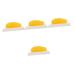 Gatuida Anatomical Fat 4pcs Fat Model Models Human Body Fat Plastic Body Fat Human Fat 1 Pound Demonstration Device Module