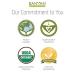 Banyan Botanicals Organic Coriander Powder 8oz - Promotes Healthy Digestion - Cooling Spice - 1/2 lb Pack - Buy Online on SooperMarket.com