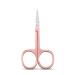 YSJJZRL 2 Pcs Professional Grooming Scissors - Eyebrow Scissors - Small Curved Stainless Steel Manicure & Beauty Scissor (Rose Gold-Silver)