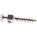 Angzhili Dental Orthodontic Screws Titanium Alloys Matching Micro Implant Screw Device Self-Drilling Thread Mini Screw Self-Taping 6/8/10/12mm (Mini Screw 1.4x6) - Buy Online on SooperMarket.com