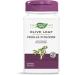 Nature's Way Olive Leaf Provides Antioxidants Diuretic - Standardized Extract - Premium Herbal Supplement - 60 Vegetarian Capsules Natural 60 count (Pack of 1) - Buy Online on SooperMarket.com