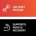 Optimum Nutrition Gold Standard 100% Whey Protein Powder 670g - Double Rich Chocolate - 22 servings (packaging may vary) Chocolate 22 Servings (Pack of 1) - Buy Online on SooperMarket.com