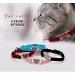 AIXI Cat Collar with Safety Belt and Bell - Heart Bling Design - 8-11 Inches - Black - Buy Online on SooperMarket.com