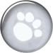 Trixie Tarbes Transparent Black Raincoat for Dogs - 46 cm - 5 ml Pack | International Shipping Available - Buy Online on SooperMarket.com